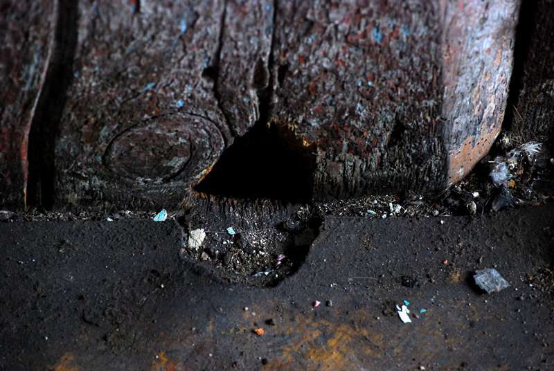 Deratyzacja, nora wygryziona w drewnie przez szczury